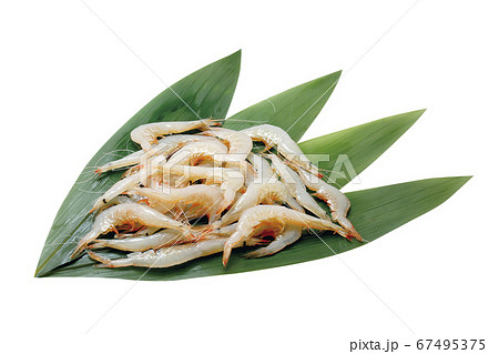 白エビ06（パス付） 67495375