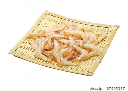 白エビ04（パス付） 67495377