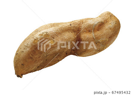 サツマイモ_マロンゴールド07(パス付) サツマイモ_マロンゴールド07(パス付) 67495432