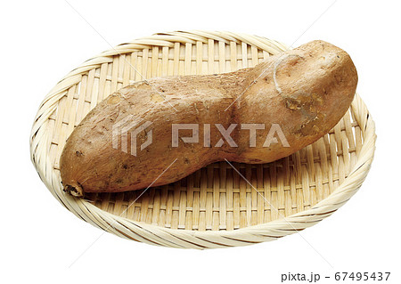サツマイモ_マロンゴールド03（パス付） 67495437