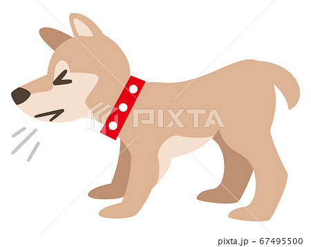 咳をする犬 咳をする犬 67495500