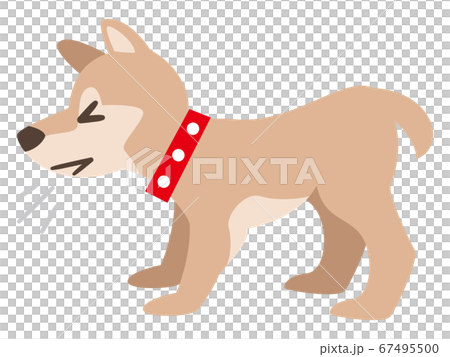咳をする犬 咳をする犬 67495500
