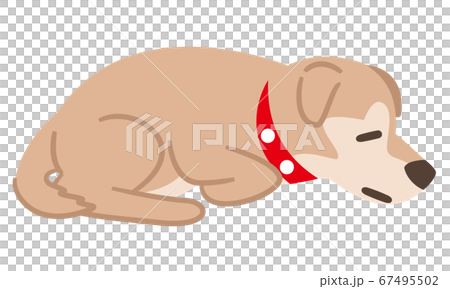 Crouching dog due to poor physical condition 67495502