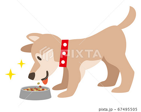 ドッグフードを食べる犬のイラスト素材