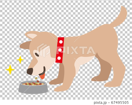 ドッグフードを食べる犬のイラスト素材