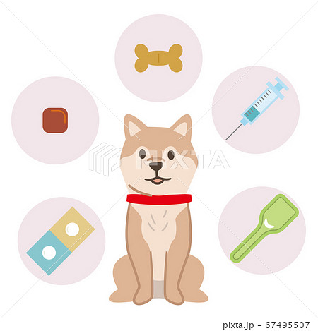 犬の予防医療イメージ 67495507