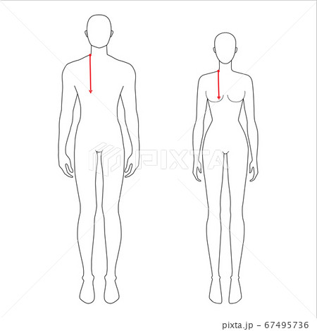 Women and men measurements fashion. 67495736