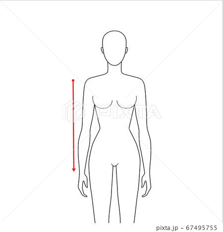 Women measurements fashion. 67495755