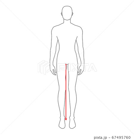 Men measurements fashion. 67495760