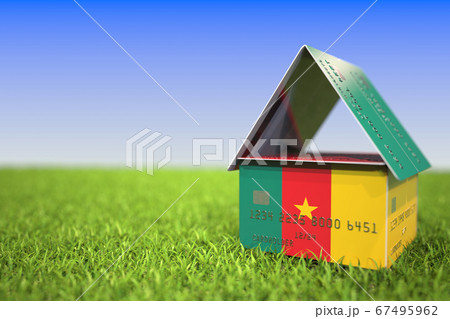 Flag of Cameroon on plastic bank card house in the grass. Mortgage related 3D rendering 67495962