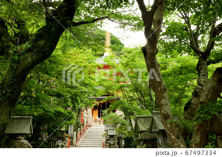 朝護孫子寺 成福院「融通殿」 朝護孫子寺 成福院「融通殿」 67497334