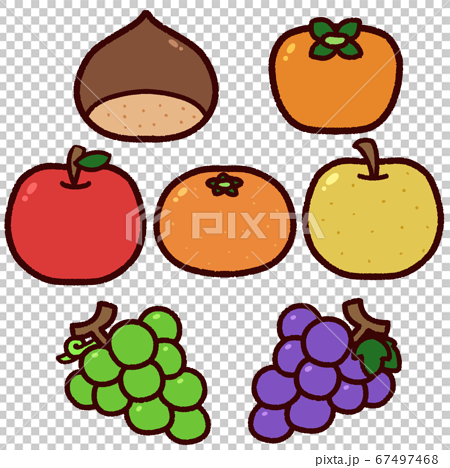 シンプルな秋の果物 イラストセットのイラスト素材