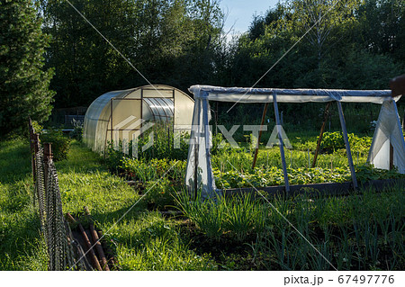 Greenhouse in the Kitchen garden. 67497776