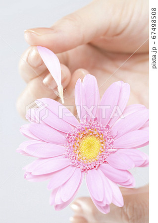 花占いをする女性の写真素材 花占いをする女性の写真素材