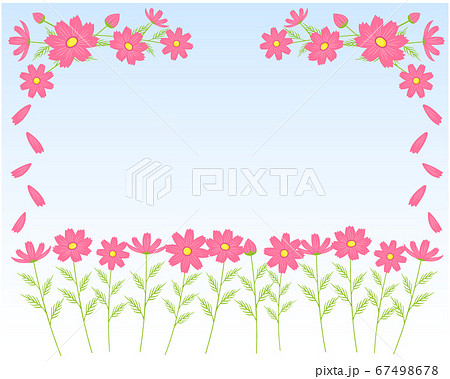 カラフルなコスモスの花のフレーム 秋桜のメッセージカードのイラスト素材