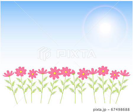 カラフルなコスモスの花のフレーム 秋桜のメッセージカードのイラスト素材