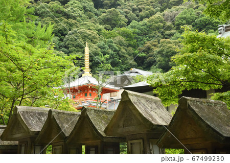 信貴山 朝護孫子寺 成福院 信貴山 朝護孫子寺 成福院 67499230