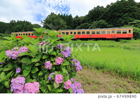 紫陽花と小湊鐵道の列車 紫陽花と小湊鐵道の列車 67499890