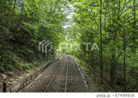 赤沢森林鉄道　線路 67499936