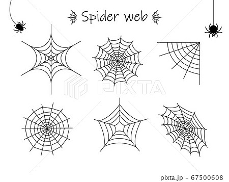 色々なクモの巣のイラストセットのイラスト素材