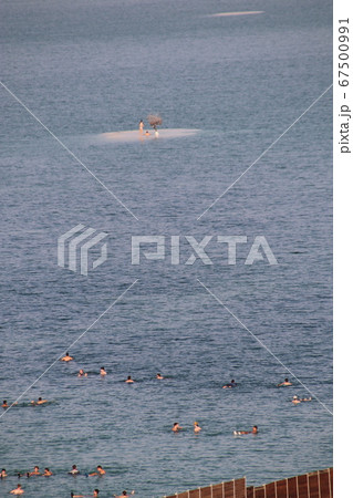 死海 死海 67500991