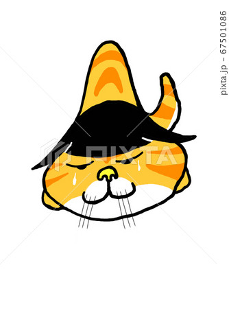 猫 ノラ かわいい 猫 ノラ かわいい 67501086