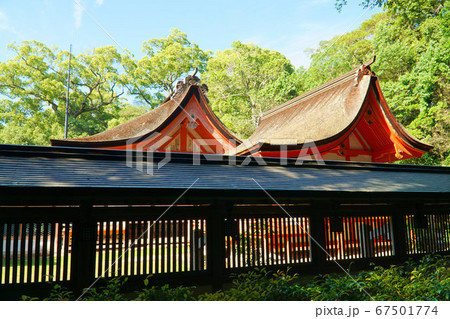 【伊予国一宮】大山祇神社 本殿と摂社上津社と梅雨晴れの空 愛媛県今治市 【伊予国一宮】大山祇神社 本殿と摂社上津社と梅雨晴れの空 愛媛県今治市 67501774