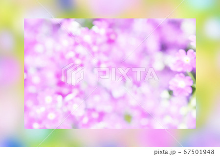 額、フレームフォト、写真 67501948