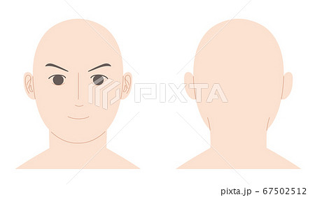 男性のスキンヘッド 正面と後頭部 イラストのイラスト素材