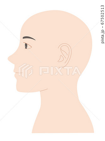 男性のスキンヘッド 横顔 イラストのイラスト素材