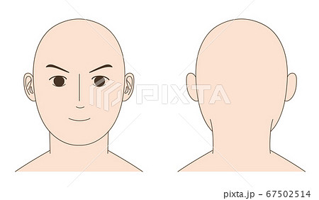 男性のスキンヘッド 正面と後頭部 イラストのイラスト素材