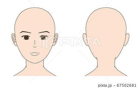 女性のスキンヘッド 正面と後頭部 イラストのイラスト素材