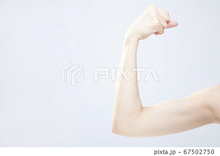 腕の筋肉 67502750