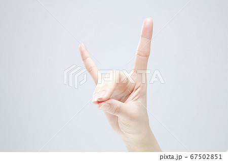 影絵遊び 影絵遊び 67502851