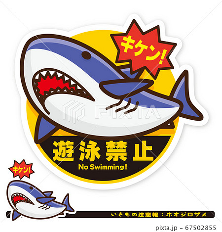 いきもの注意報 サメ ホオジロザメ 遊泳禁止サインのイラスト素材