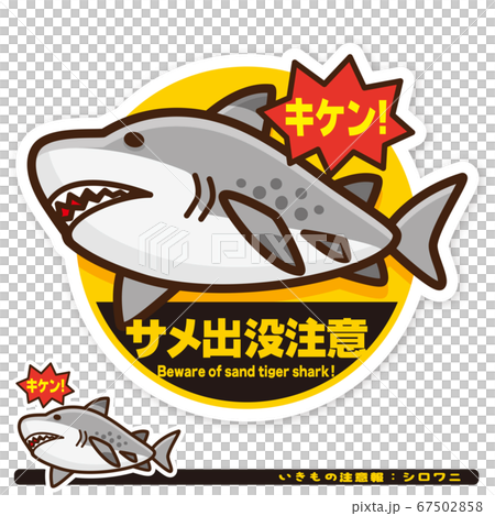生物警告:鯊魚(白鱷魚)出沒警告標誌 生物警告:鯊魚(白鱷魚)出沒警告標誌 67502858