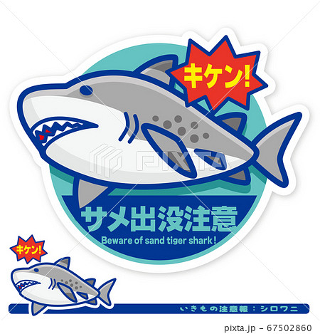 いきもの注意報:サメ(シロワニ)出没注意サイン いきもの注意報:サメ(シロワニ)出没注意サイン 67502860