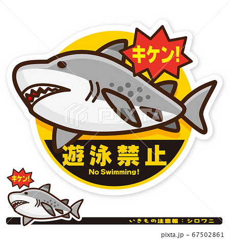 いきもの注意報:サメ(シロワニ)遊泳禁止サイン いきもの注意報:サメ(シロワニ)遊泳禁止サイン 67502861