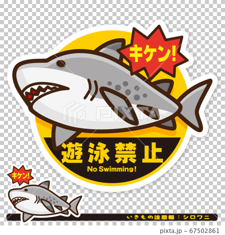Ikimono Warning: Shark (Sand Tiger) Swimming Prohibition Sign 67502861