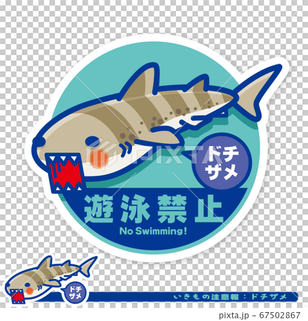いきもの注意報:サメ(ドチザメ)遊泳禁止サイン いきもの注意報:サメ(ドチザメ)遊泳禁止サイン 67502867