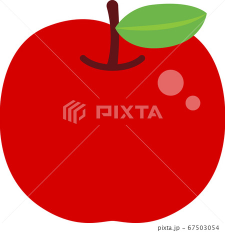 りんごのイラスト 67503054