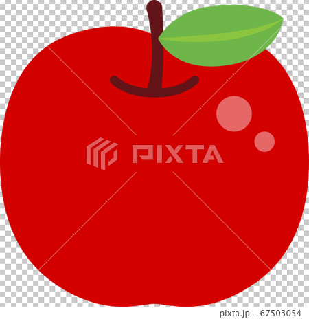 りんごのイラスト 67503054