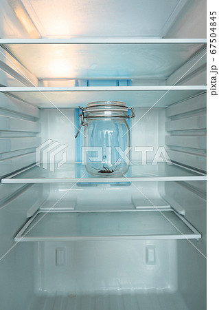 Cockroach in a glass jar in an empty refrigerator. 67504845