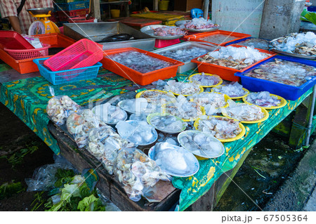 Fresh seafood on the counter at the fish market by Fresh seafood on the counter at the fish market by 67505364