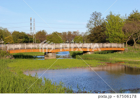 別府沼公園 別府沼公園 67506178