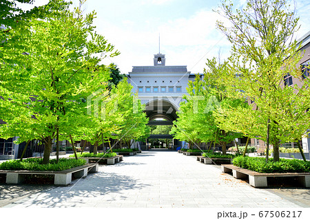 京都大学　吉田南構内　吉田南総合館 67506217