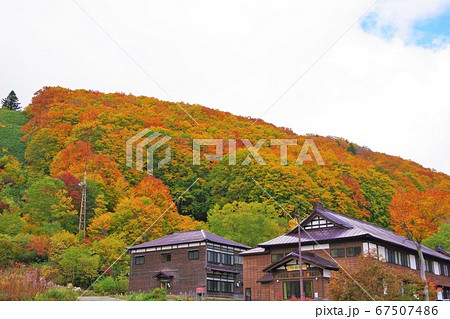 青森県 紅葉時期の酸ヶ湯温泉 青森県 紅葉時期の酸ヶ湯温泉 67507486