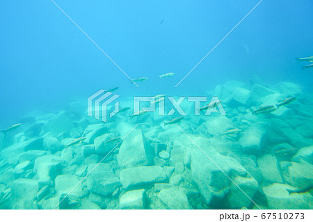 北海道 秋 千歳市 支笏湖 水中遊覧船 北海道 秋 千歳市 支笏湖 水中遊覧船 67510273