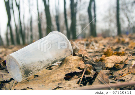 Pollution of nature. Trash and garbage, environmental hazard. Plastic cup in an old tree in the leaves. trash from disposable glasses from bottles on the nature. 67510311