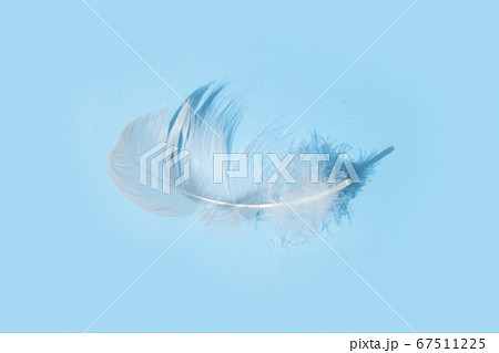 Colorful pattern made of feathers. Colorful pattern made of feathers. 67511225
